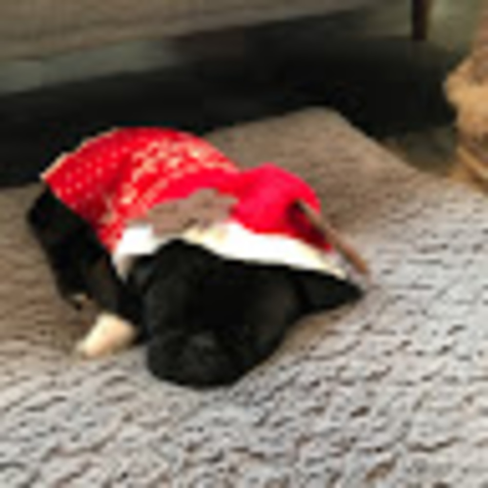 Meet your Posher, Oakmont